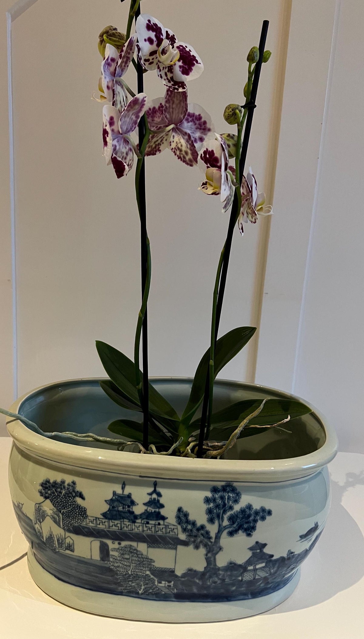 Exquisite Hand-Painted Blue and White Chinese Landscape Planter