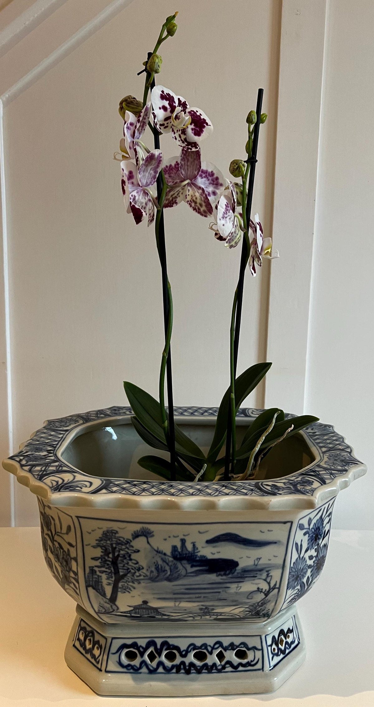 Blue & White Ceramic Planter: Aged Chinese Artwork, Glazed Finish