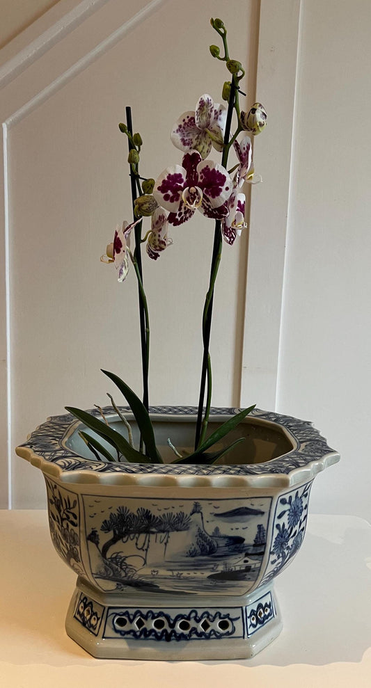 Blue & White Ceramic Planter: Aged Chinese Artwork, Glazed Finish
