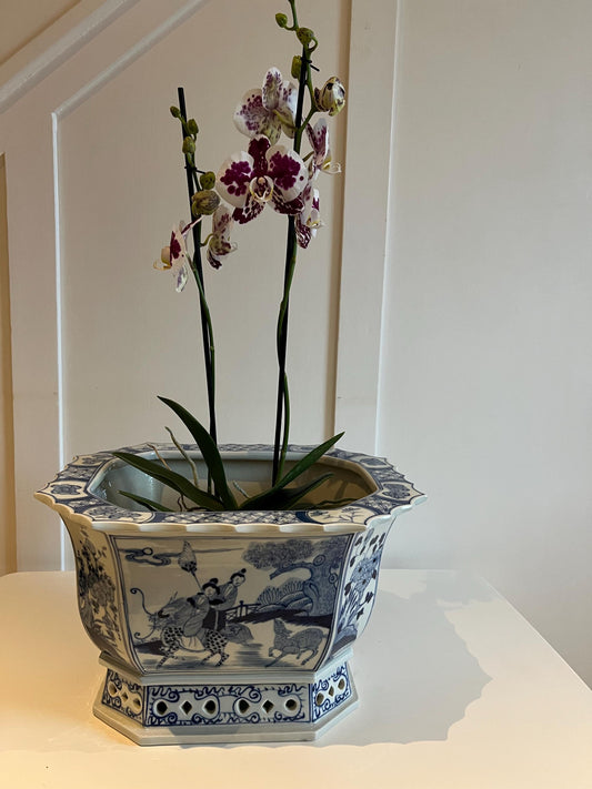 Blue & White Ceramic Planter: Glazed Chinese Garden Decor